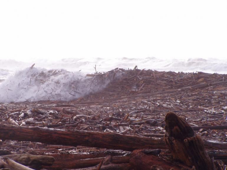 awesome log carnage
i dont know who took this pic, i just had it saved from years ago
Keywords: log carnage