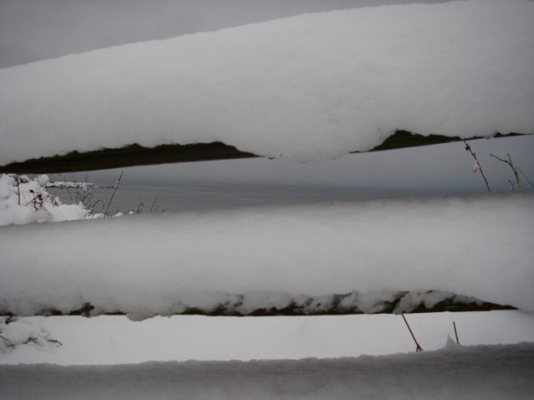 Shades of Grey
Clover Point it the back ground, fence in foreground.
