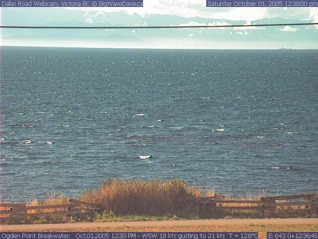 October Arrives
Perfectly good wind going to waste... ;)
