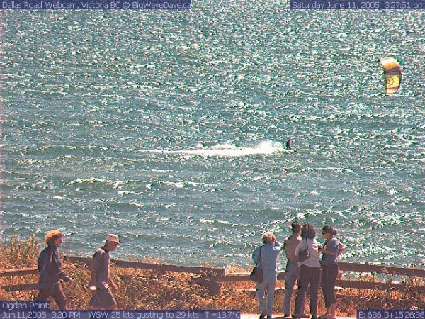 Camerahog
Marathon Dave - in action once again!
