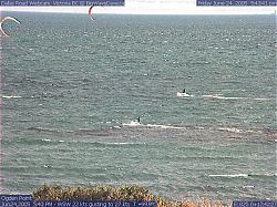 Sharky and Kite Kook.jpg