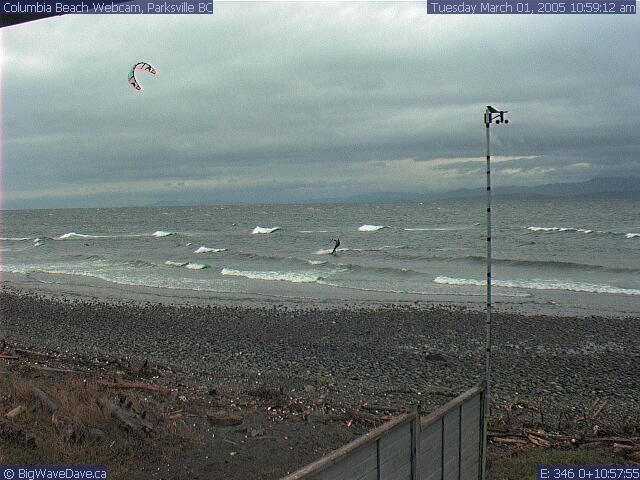 March 1st '05 Alex or Matt
