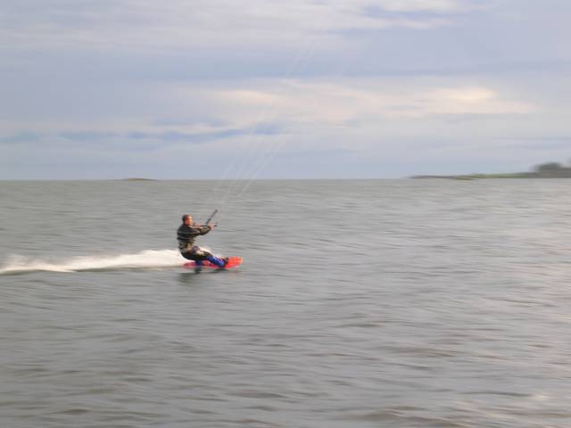 vadardog at cattle point
