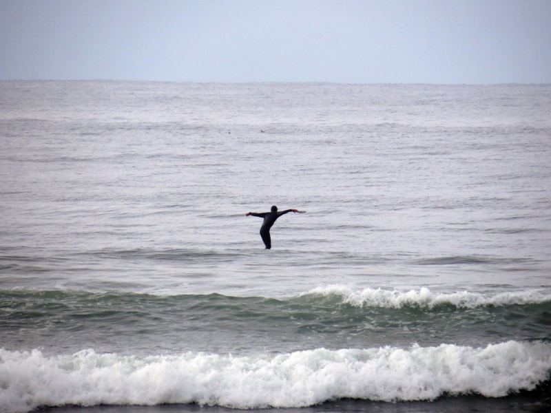 odd bird
spotted this 'water fowl' at LB earlier in the day - spring mating ritual maybe (but didn't seem to be getting much of a response)
