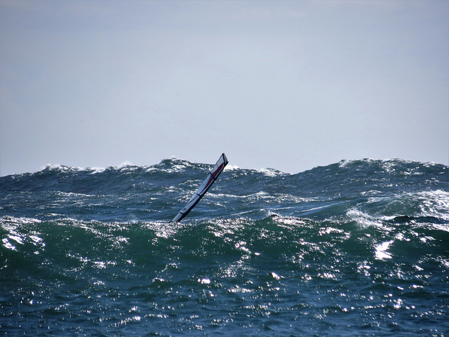 Poking The Frank Monster (DavidM)
