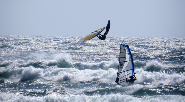 back (Redbaron)
photo by Mandi Sinclair, Florence, June 21
