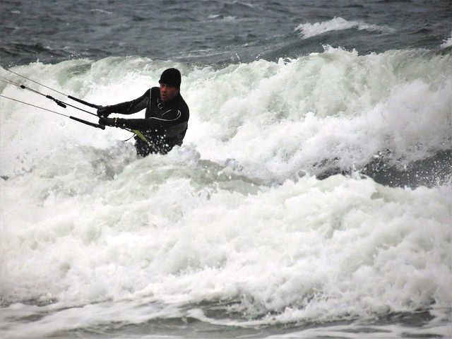 Mash Potatoes (Shaun)
