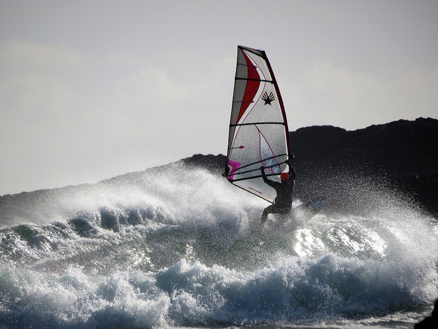 Check Please (Udder)
