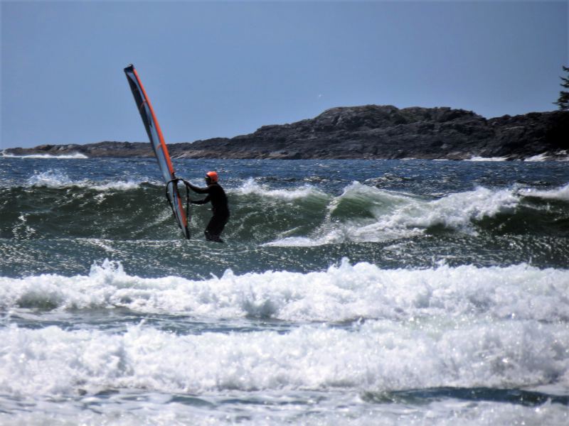 down-the-line
(Udder)
