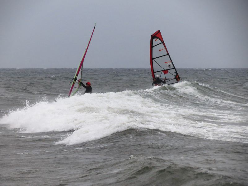 foam pile (Eastside and Shaggy)
