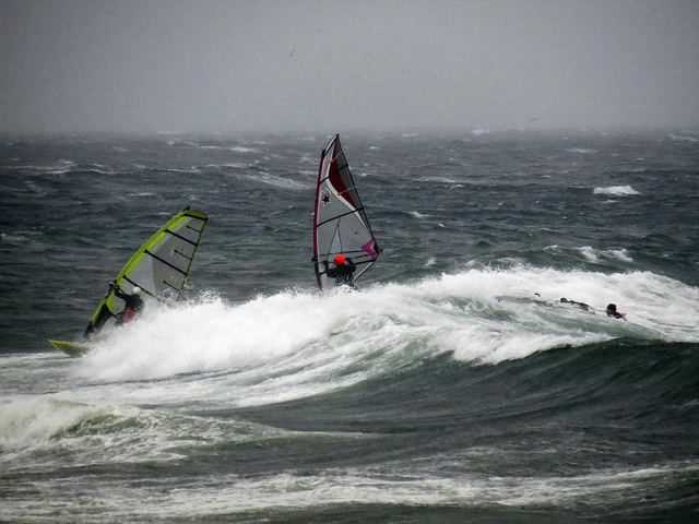 Heavy (Shaggy, Udder, Mr X)
