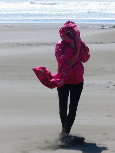 the empress (Mandi)
Pistol River, June 19
