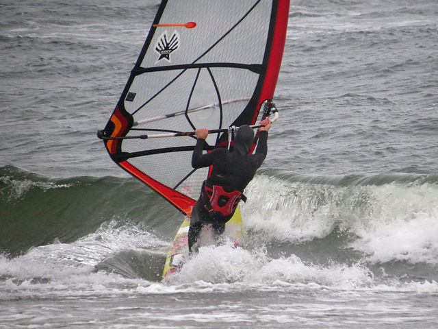 inside wave (Shaggy)
