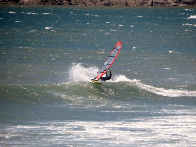 Buckets (Shaggy at the Cape)
