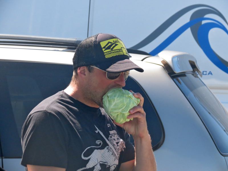 Redbaron enjoying lunch
