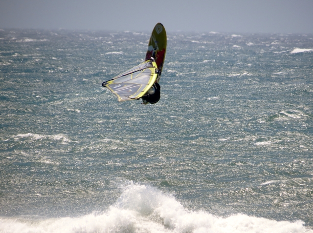 Airing it out (Shaggy at the Rock)
