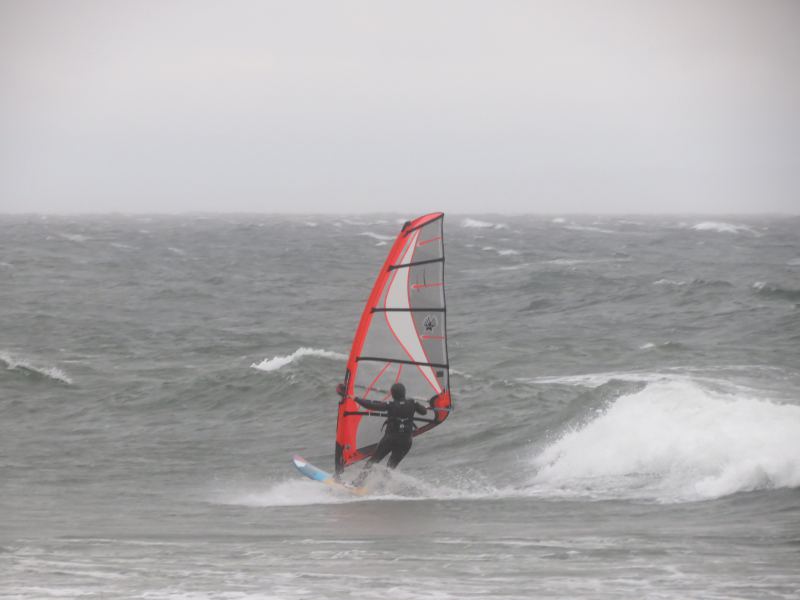 down the line (Janetfish)
