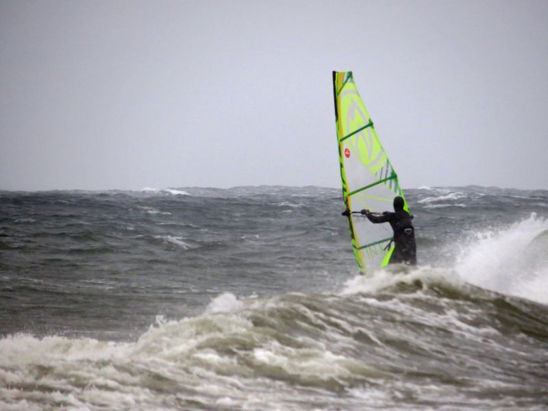 backside shot (Nanmoo)
