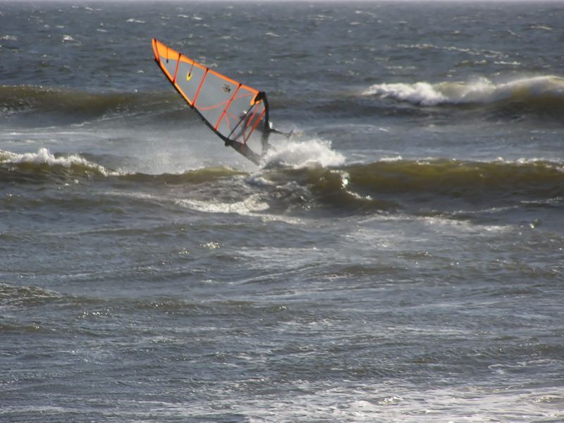 who's forward is this?
