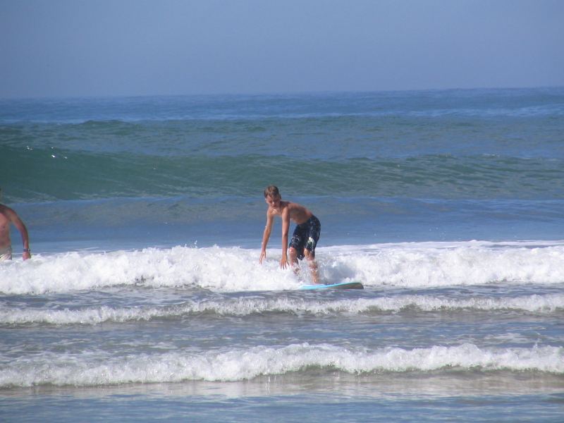 Little Penguin, South Africa
