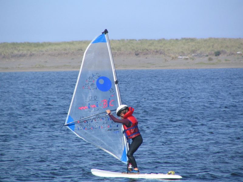 Little penguin-Floras lake, OR-South Coast
