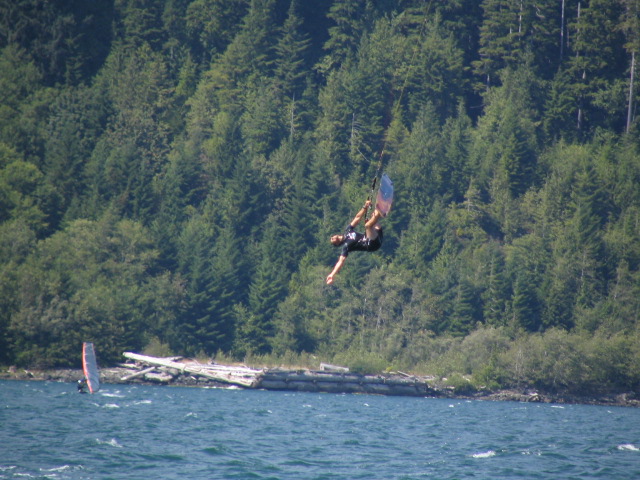 penguin hanging loose
