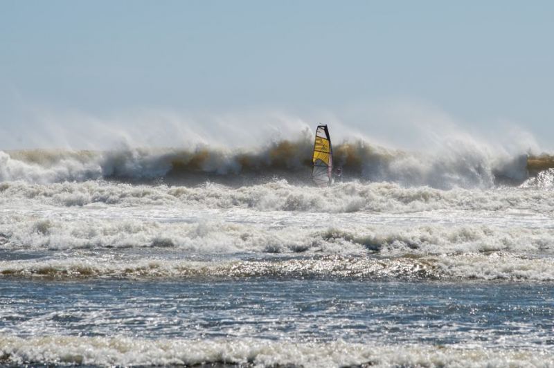 BIG Sunday with Red Baron
It wasn't so bad the birds were still out flying
