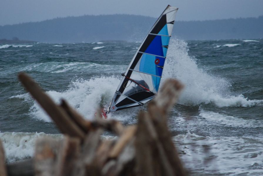 Doc Slidin' Through the Logs
