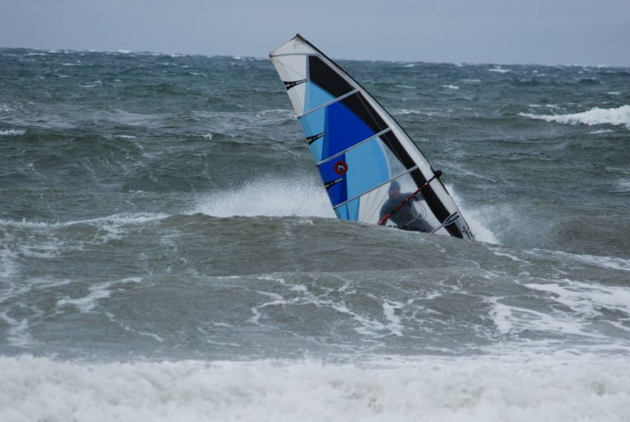 Doc Looking Through the Window
