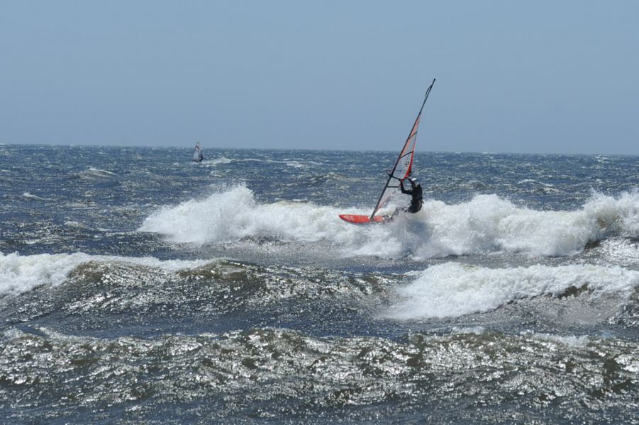 Fish - Little off the white water action
