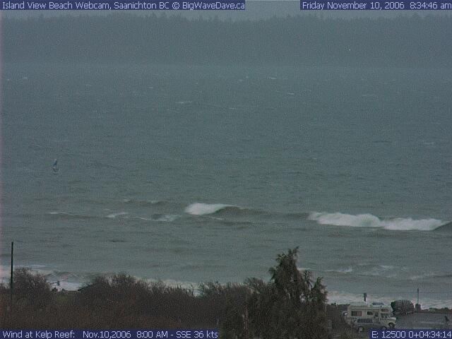 wee camper, not-so-wee wave
