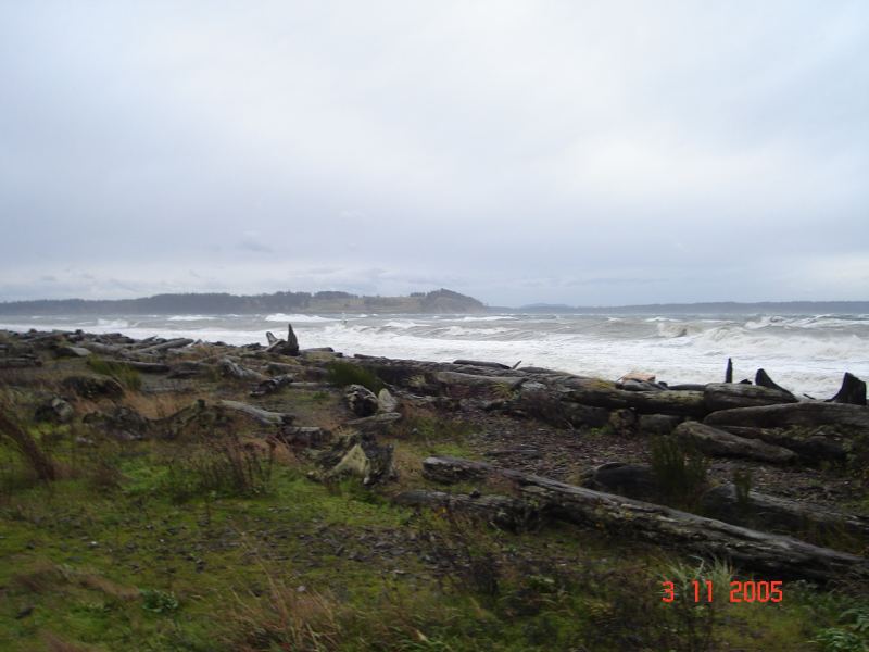 Grant W. Nov 4th @ Island View
