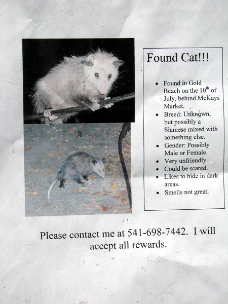 Posted on the grocery store window!
