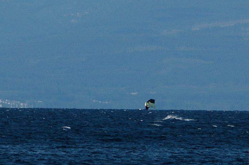 I thought my mom did pretty well at timing this photo. 
