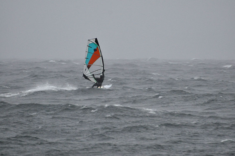 Some snaps from yesterday afternoon before it became too dark for photos
