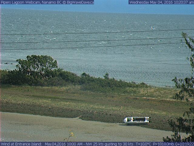 Windy week to sail at Pipers!
