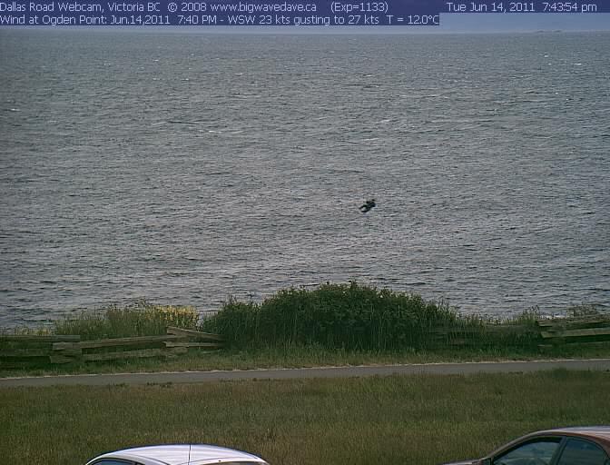 Just thought I'd say hi :)
