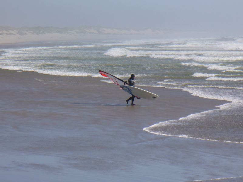 WSfish walking out (Flo June2009)
