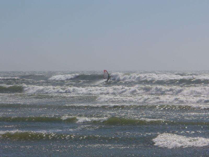 WSfish heading out a Flo June2009
