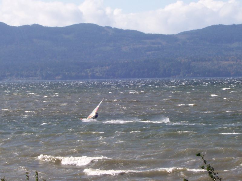 noon session - Pat Bay
windsurf 24/7
