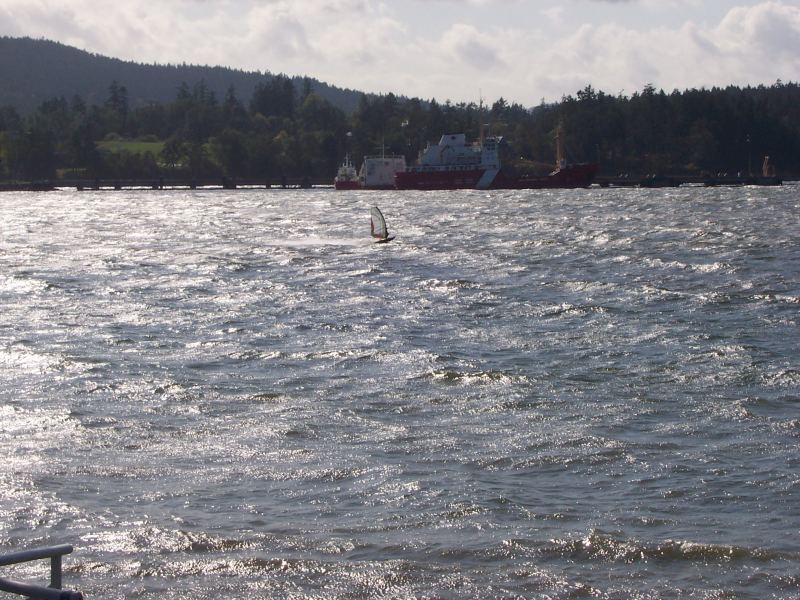 Pat Bay - windsurf 24/7
Oct 7/08
