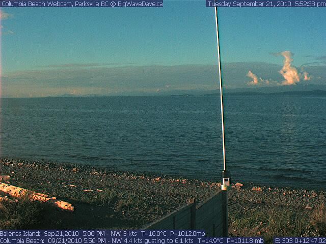 sea lion or see duck at CB?
