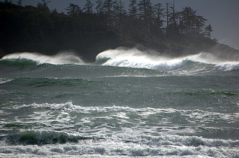 Classic Cox Bay
March 21, 2008, Cox Bay "going off".
