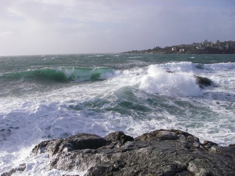 Oak bay barrel
Oak bay barrel
