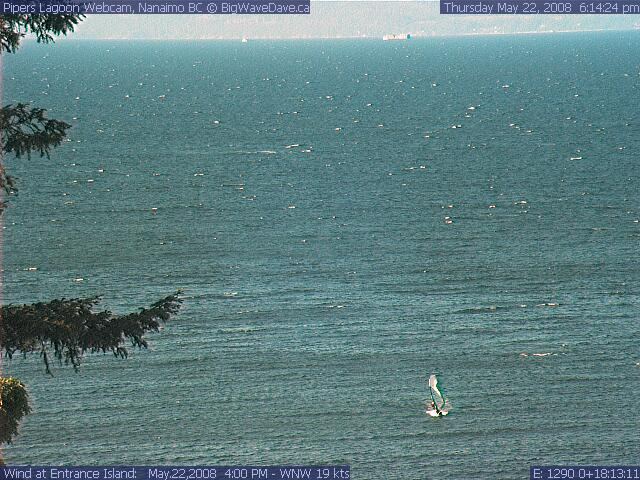 Sunny evening session. Nice
