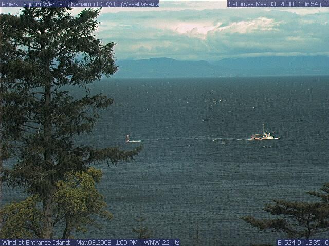 First windsurfer at Pipers this year?
