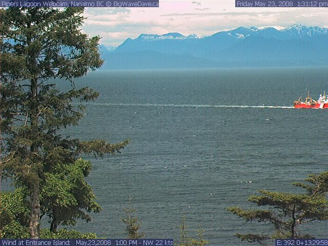 Windsurfer taking advantage of the 'Ricker's wake (very small)

