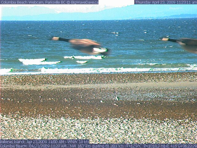 At least something's getting some wind...
