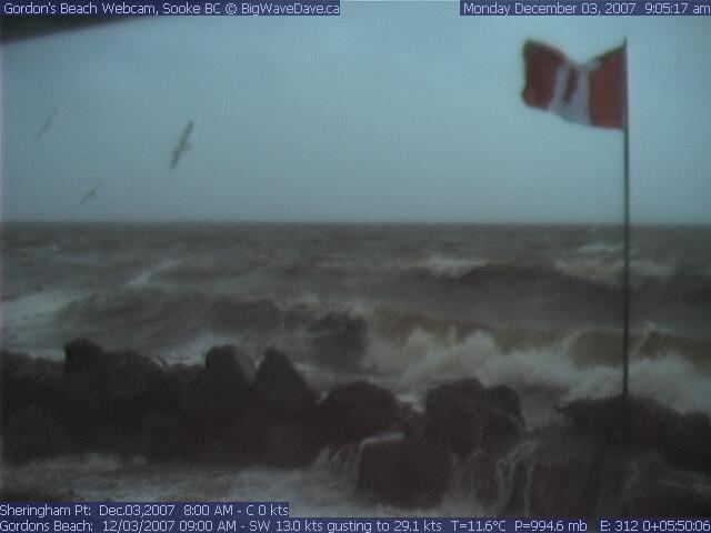 Kus must be here somewhere....
