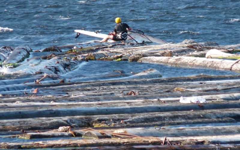 What wood in the water? No wood here!
